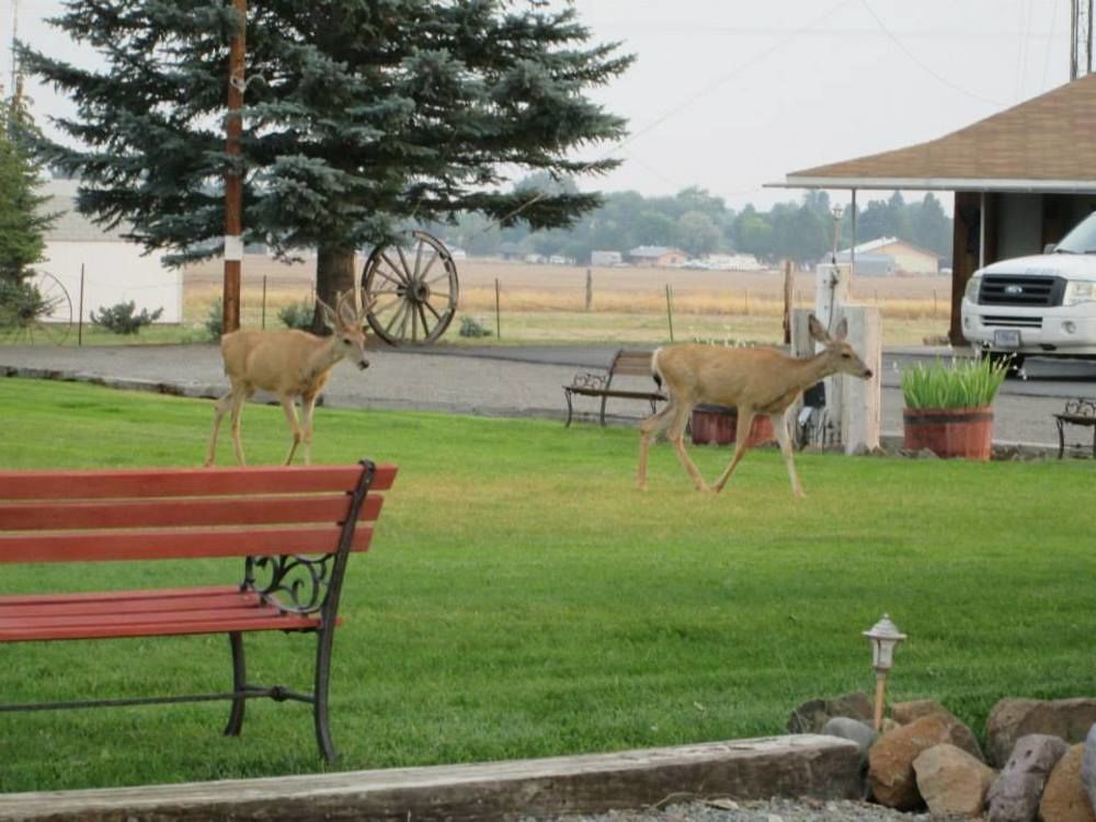 Rim Rock Motel อัลทูราส ภายนอก รูปภาพ